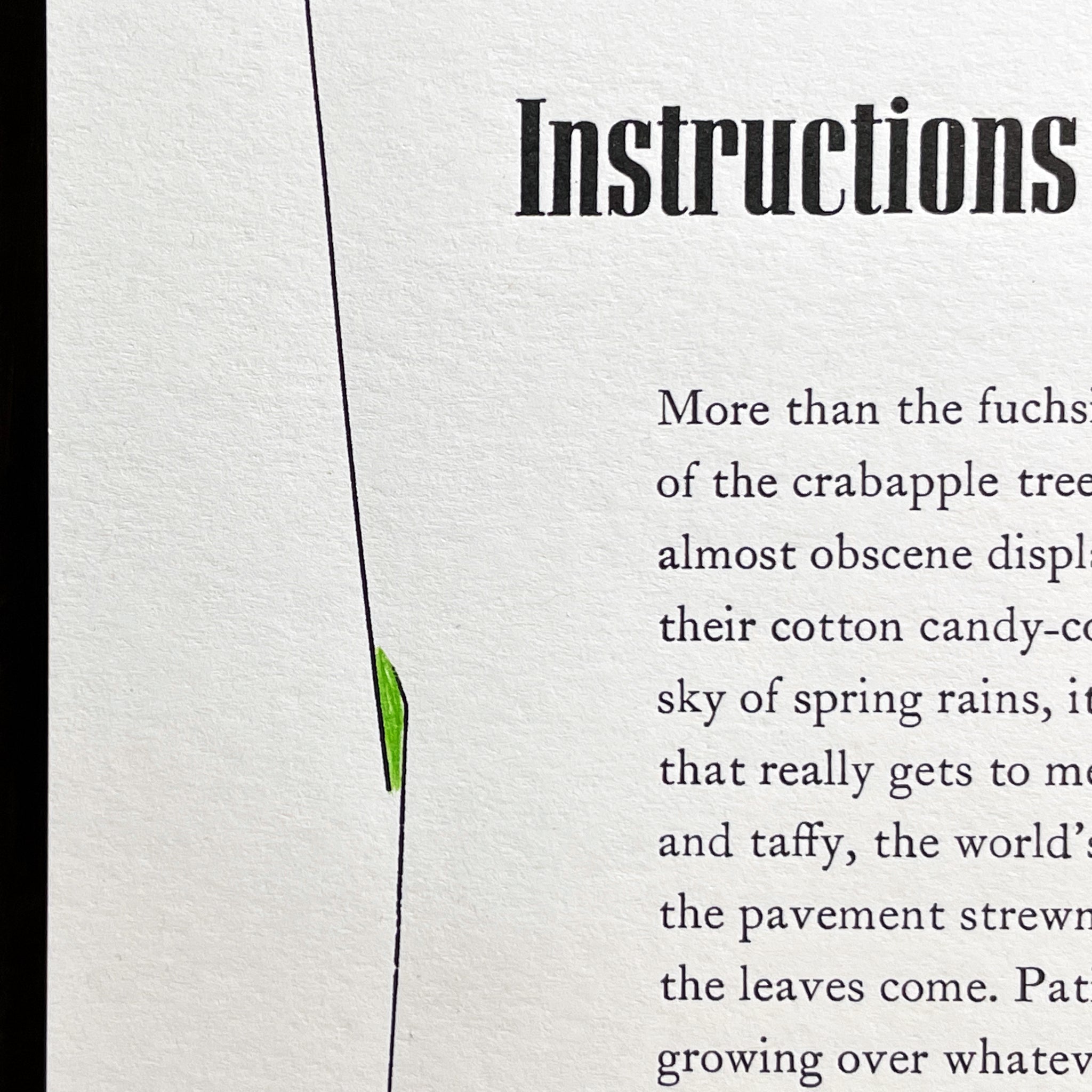 Making “Instructions on Not Giving Up” by Ada Limón