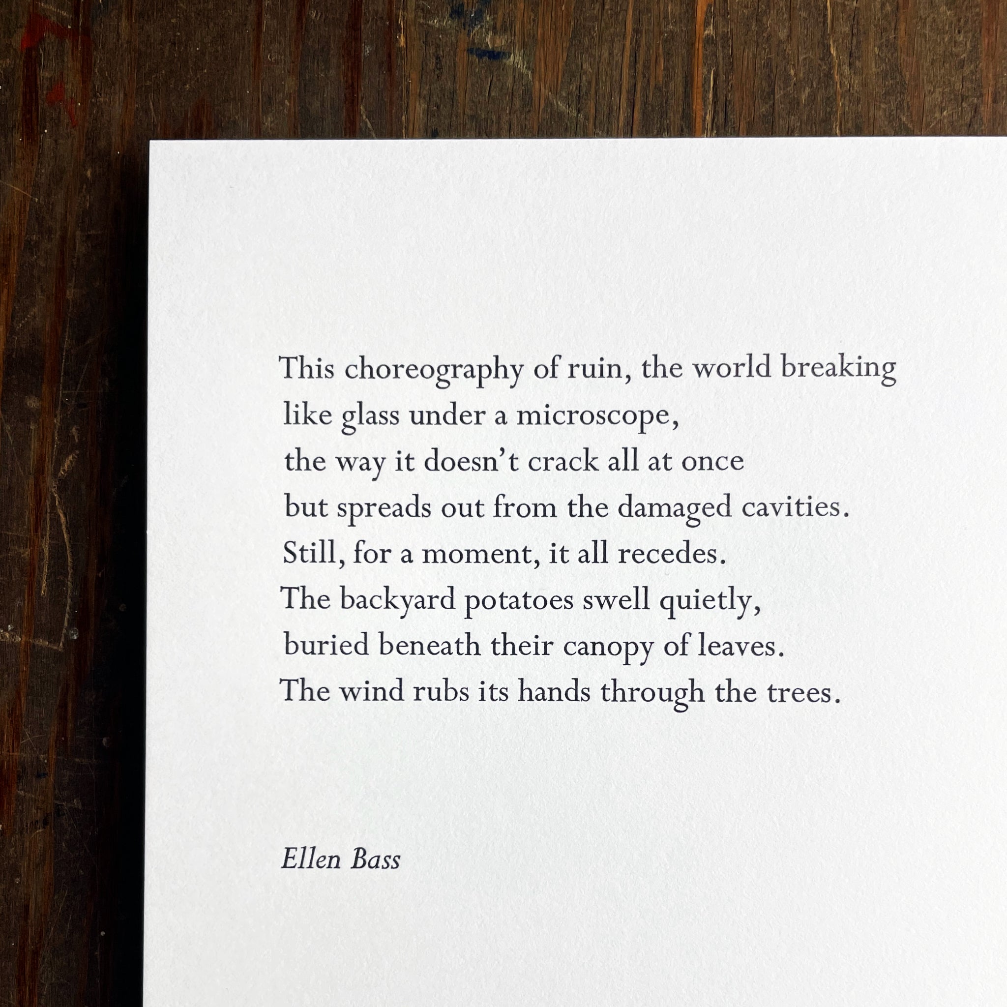Choreography of Ruin close up, by Ellen Bass