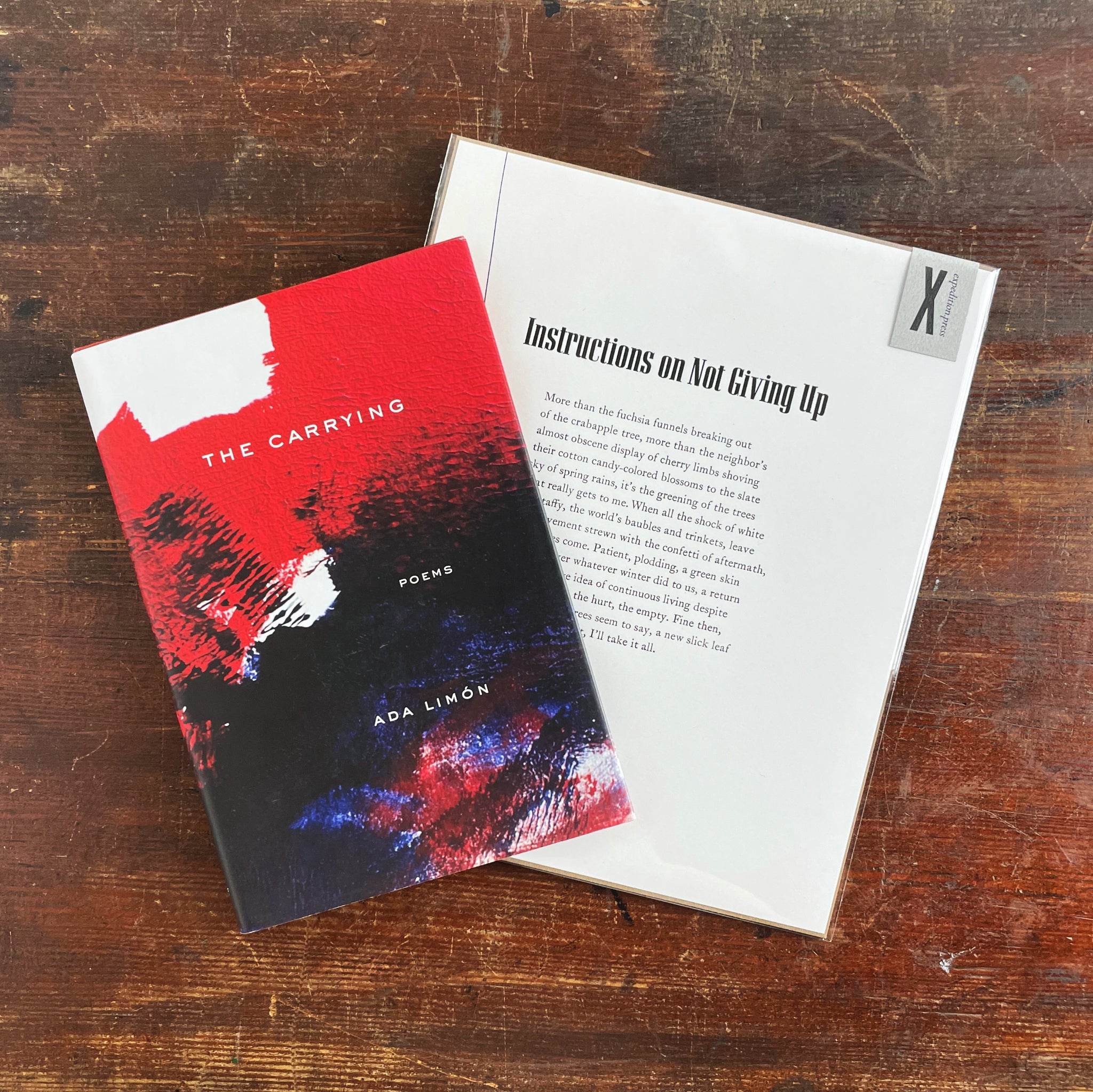 “Instructions on Not Giving Up” broadside