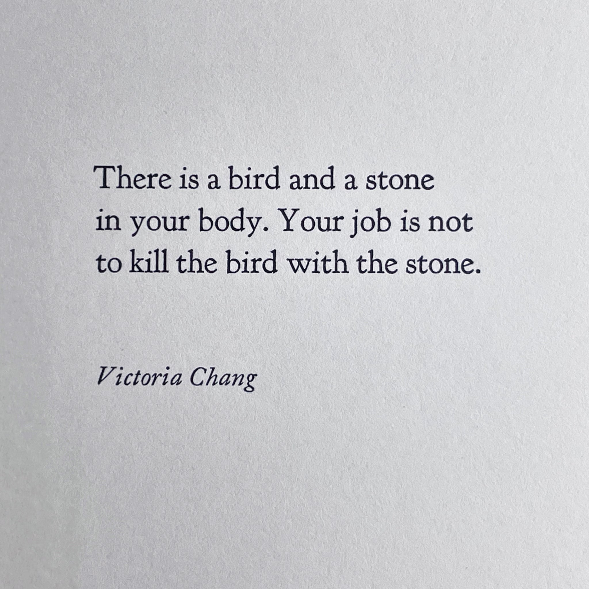 Bird & Stone